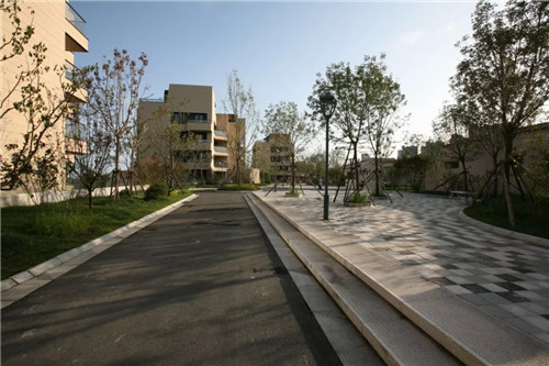 章俊華作品: 無形中的有形——秦皇島阿那亞三期景觀設計