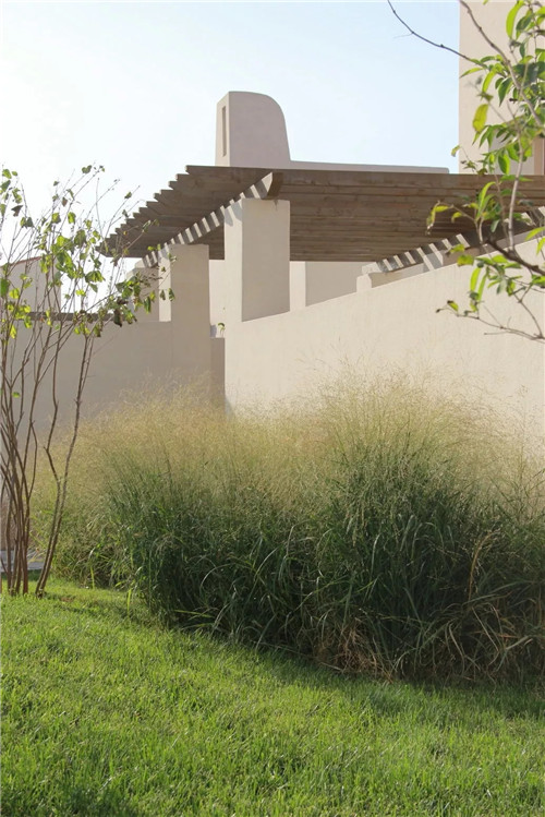 章俊華作品: 無形中的有形——秦皇島阿那亞三期景觀設計