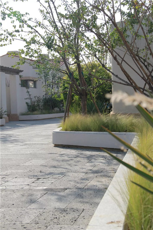 章俊華作品: 無形中的有形——秦皇島阿那亞三期景觀設計