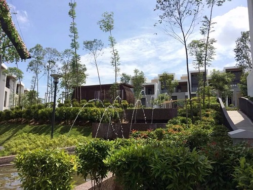 2019園冶杯專業獎丨馬來西亞萬撓 Fields Of Gold