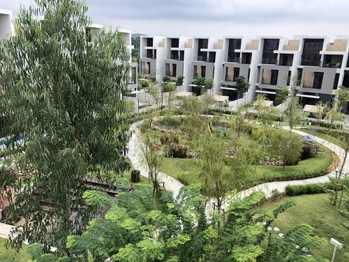 2019園冶杯專業獎丨馬來西亞萬撓 Fields Of Gold