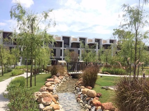 2019園冶杯專業獎丨馬來西亞萬撓 Fields Of Gold