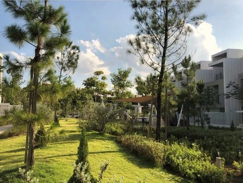 2019園冶杯專業獎丨馬來西亞萬撓 Fields Of Gold