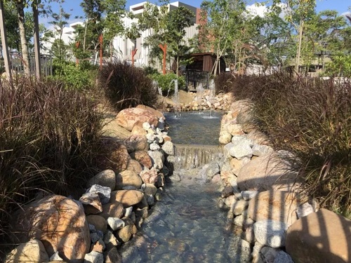 2019園冶杯專業獎丨馬來西亞萬撓 Fields Of Gold