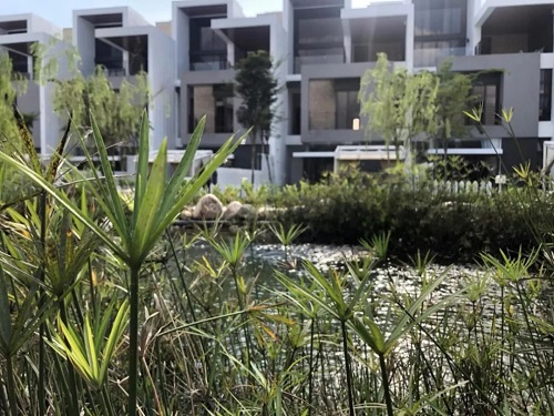 2019園冶杯專業獎丨馬來西亞萬撓 Fields Of Gold