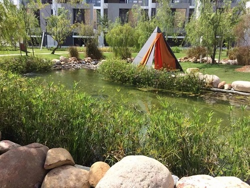 2019園冶杯專業獎丨馬來西亞萬撓 Fields Of Gold