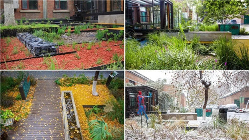 鄒裕波:可持續景觀設計實踐——海綿城市落地探討