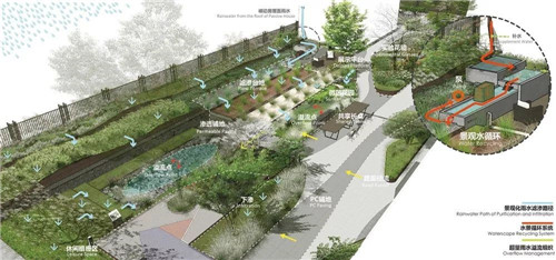 鄒裕波:可持續景觀設計實踐——海綿城市落地探討