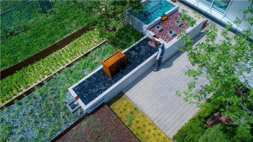 鄒裕波:可持續景觀設計實踐——海綿城市落地探討