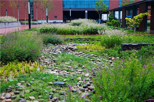 鄒裕波:可持續景觀設計實踐——海綿城市落地探討