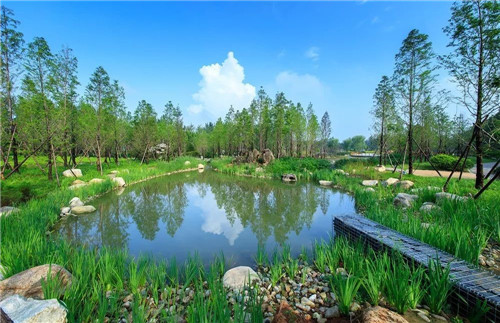 鄒裕波:可持續景觀設計實踐——海綿城市落地探討