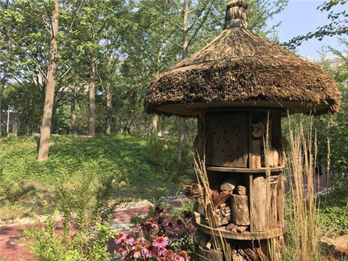 北京：歷史文化街區(qū)展開新畫卷