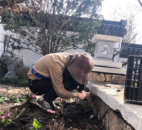 浙里故事|深化設計,助力展園走上精品之路