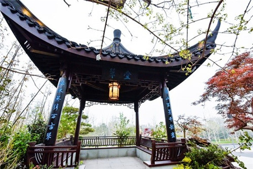 浙里故事|深化設計,助力展園走上精品之路