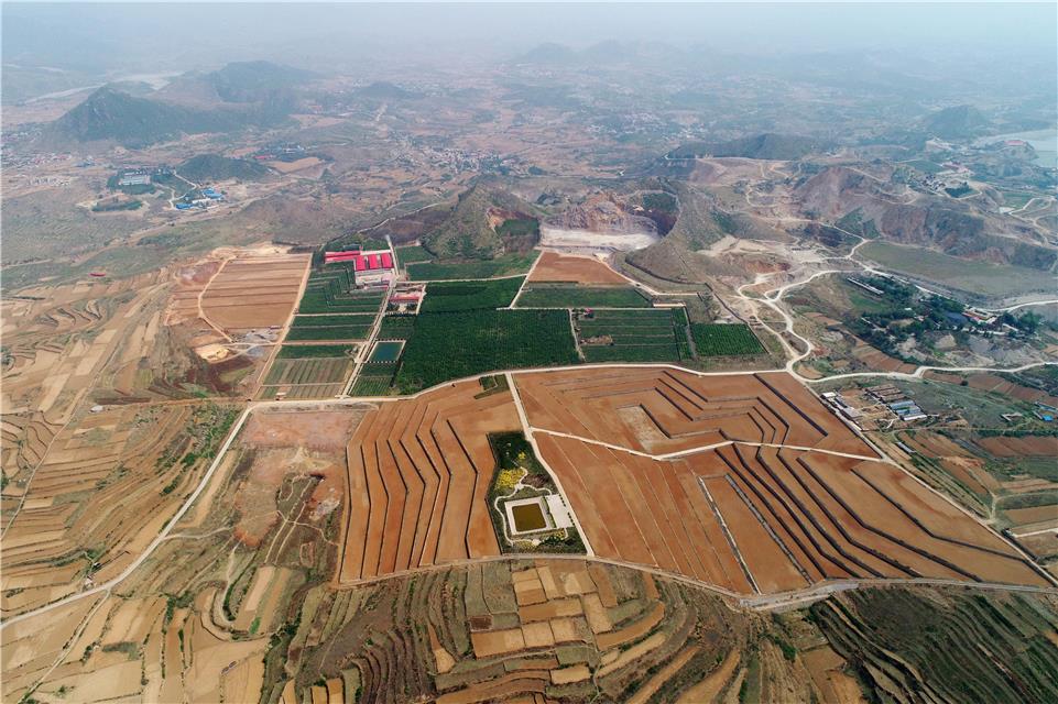 河北邯鄲全方位修復(fù)生態(tài)環(huán)境注重質(zhì)量雙收