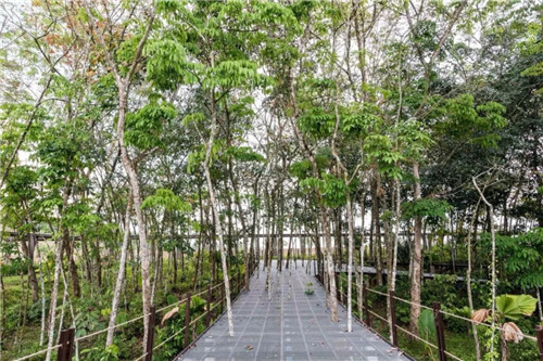 2019園冶杯專業(yè)獎丨馬來西亞萬茂 Iringan Bayu