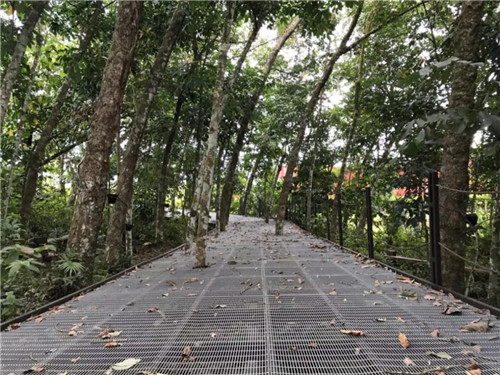 2019園冶杯專業(yè)獎丨馬來西亞萬茂 Iringan Bayu