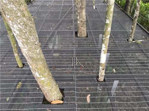 2019園冶杯專業(yè)獎丨馬來西亞萬茂 Iringan Bayu