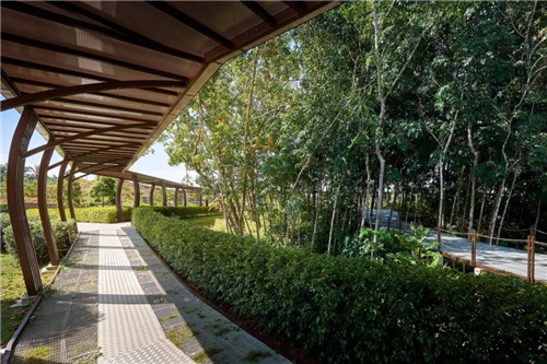 2019園冶杯專業(yè)獎丨馬來西亞萬茂 Iringan Bayu