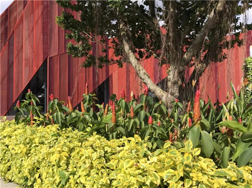 2019園冶杯專業(yè)獎丨馬來西亞萬茂 Iringan Bayu