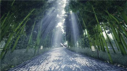 2019園冶杯專業(yè)獎丨安仁林盤莊園概念規(guī)劃及一期景觀設計