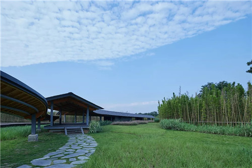 2019園冶杯專業(yè)獎丨安仁林盤莊園概念規(guī)劃及一期景觀設計