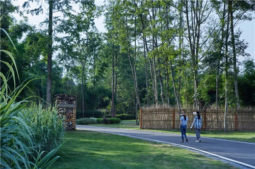 2019園冶杯專業(yè)獎丨安仁林盤莊園概念規(guī)劃及一期景觀設計