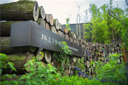 2019園冶杯專業(yè)獎丨安仁林盤莊園概念規(guī)劃及一期景觀設計