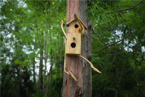 2019園冶杯專業(yè)獎丨安仁林盤莊園概念規(guī)劃及一期景觀設計