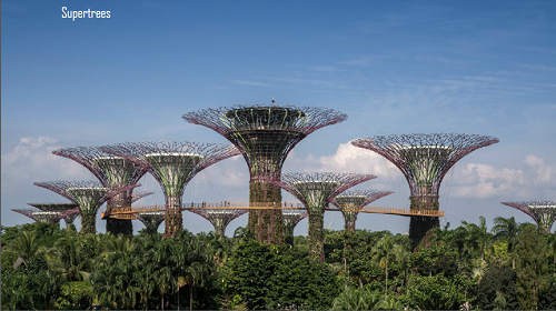 Stefaan Lambreghts：景觀與工程結合 打造人與自然的共存空間