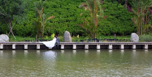 Stefaan Lambreghts：景觀與工程結合 打造人與自然的共存空間