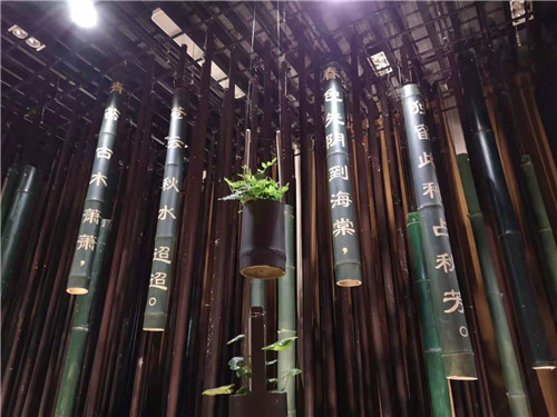 千花萬草為上海植物園化上“國慶妝”