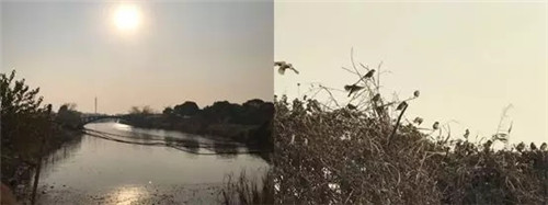 2019園冶杯專業獎丨無錫萬科觀湖禮著示范區