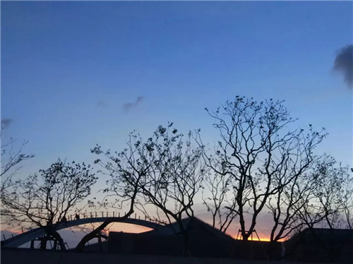 2019園冶杯專業獎丨無錫萬科觀湖禮著示范區