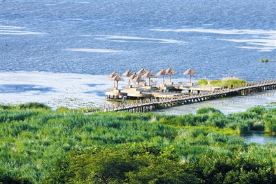 中國自然保護地進入建設發展新時代