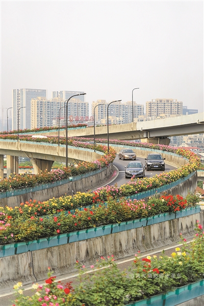 杭州用心將“園林之美”獻給世界