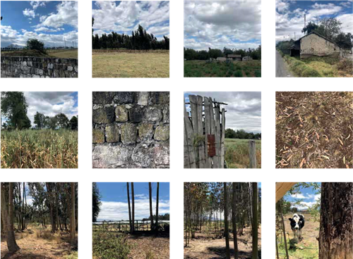 厄瓜多爾Casa Lasso家庭周末之家設計