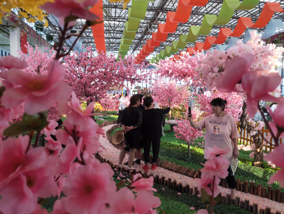 第七屆中國?沭陽花木節開幕