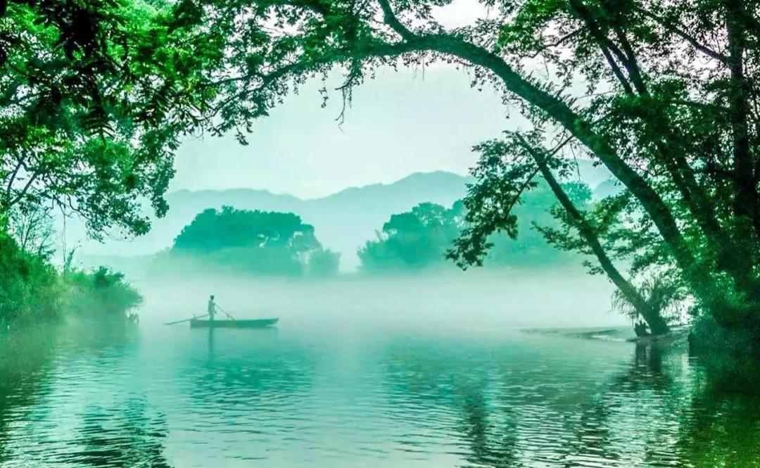 2019園冶杯專業獎丨半山村美麗鄉村規劃