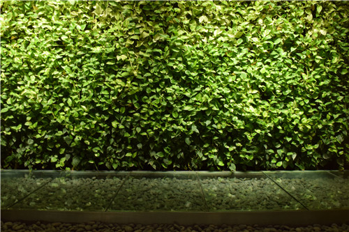 園冶杯專業獎|黎巴嫩貝魯特中心