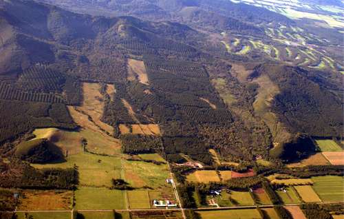 高野文彰：景觀之夢