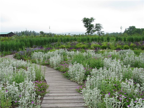 高野文彰：景觀之夢