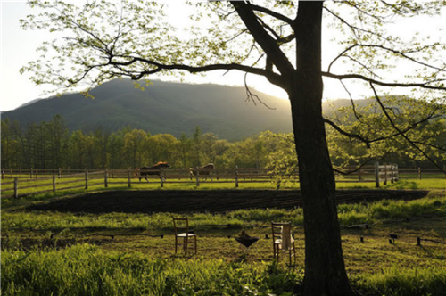 高野文彰：景觀之夢
