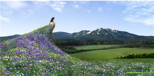 高野文彰：景觀之夢