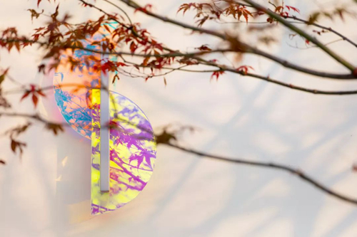 2019園冶杯專業獎丨杭州綠城曉風印月