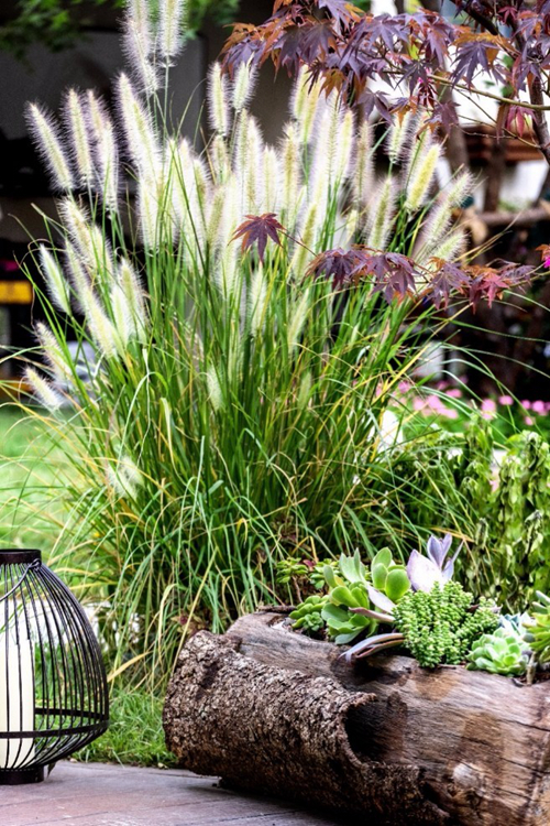 2019園冶杯專業獎丨世茂北京·國風長安·云棠