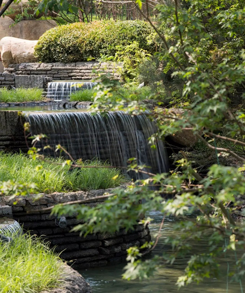 2019園冶杯專業(yè)獎(jiǎng)丨北京遠(yuǎn)洋·天著春秋