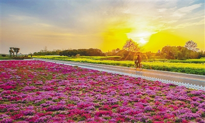 擦亮“生態(tài)”名片 無錫走出“綠色”變遷之路 