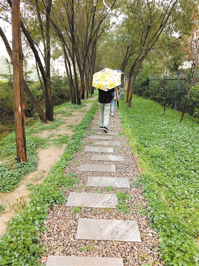 西寧：海綿化改造 讓美麗水街美起來(lái)