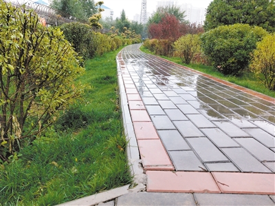 西寧：海綿化改造 讓美麗水街美起來(lái)